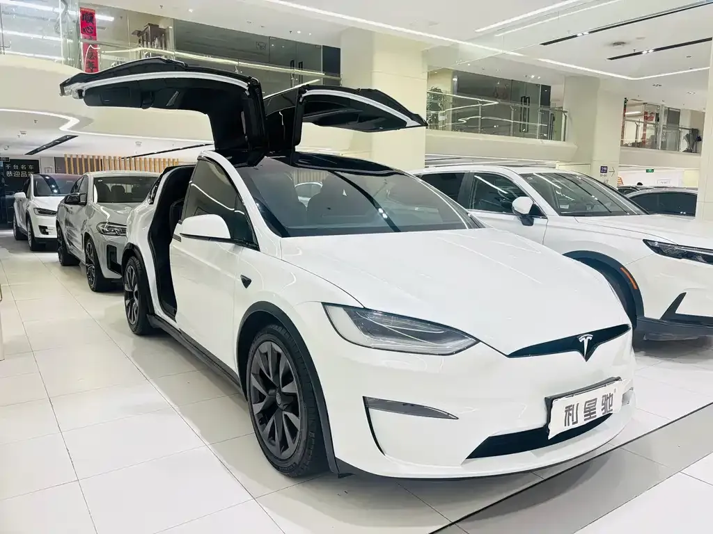 Tesla Model X — фото 8