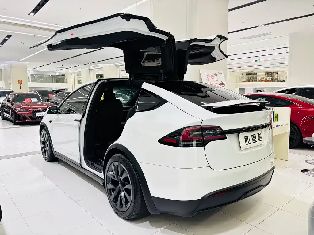 Tesla Model X — фото 7