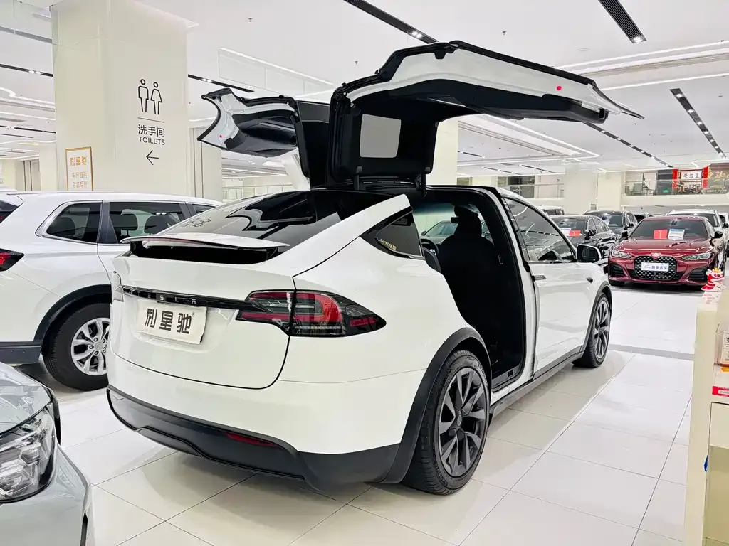 Tesla Model X — фото 6