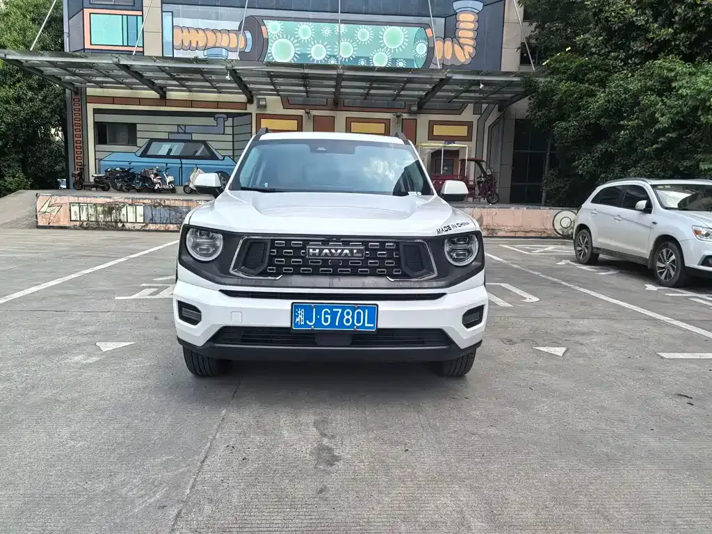Haval H7 (Big Dog Plus) — фото 9