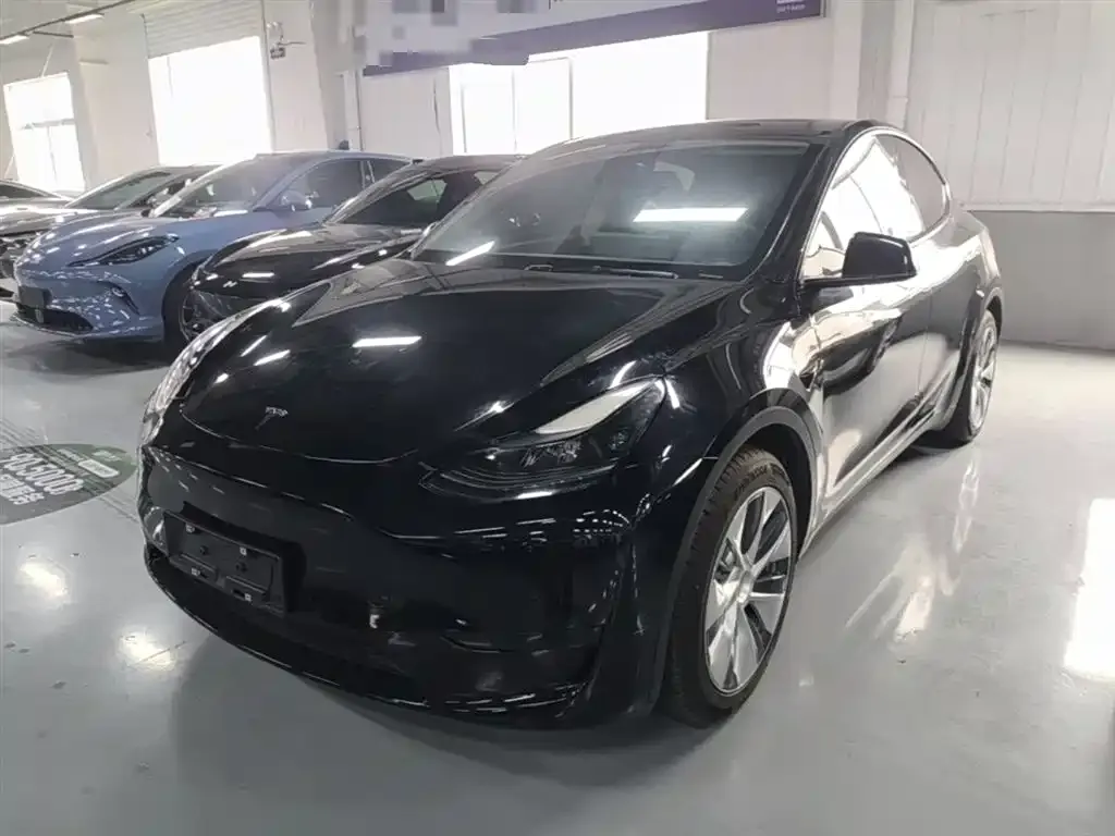 Tesla Model Y — фото 8