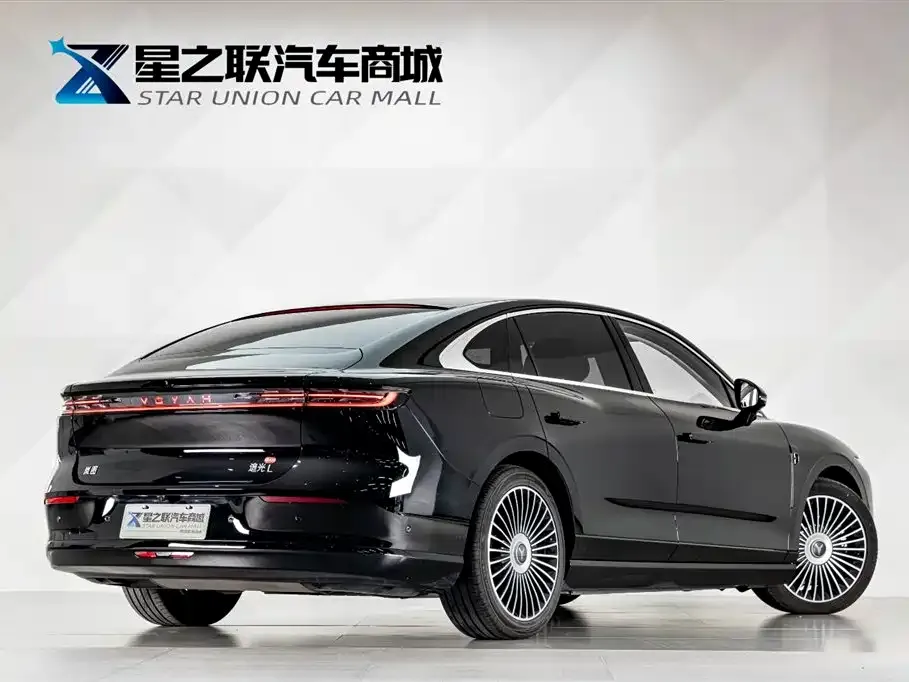VOYAH Zhuiguang L — фото 5