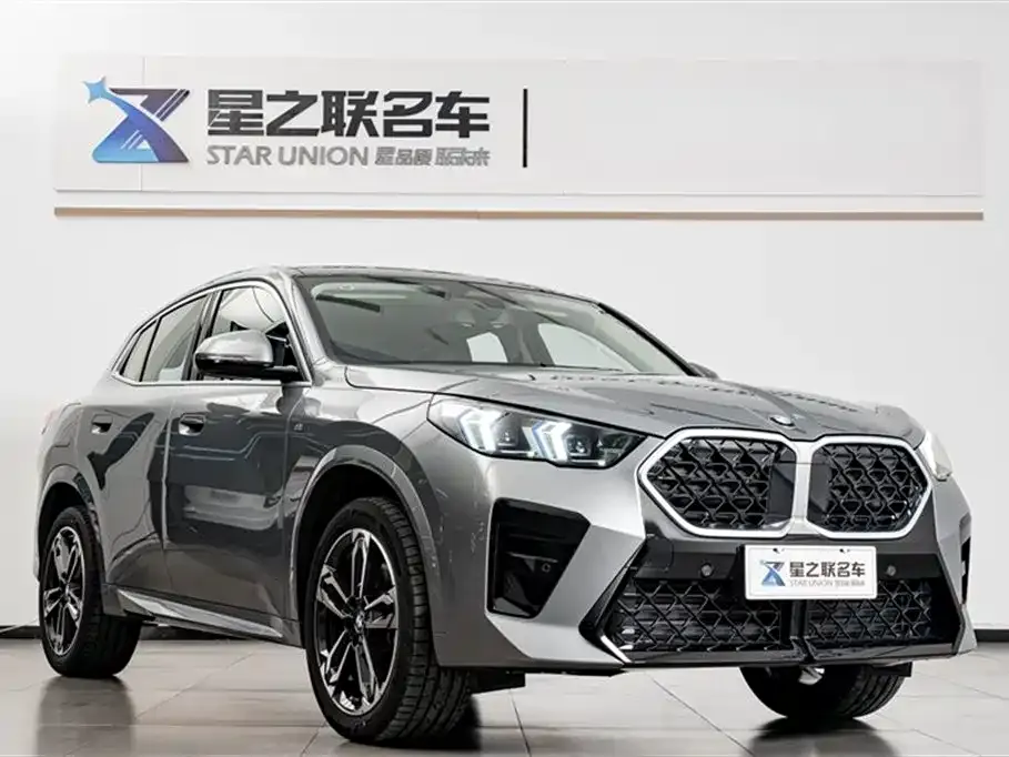 BMW X2 (Import) — фото 9