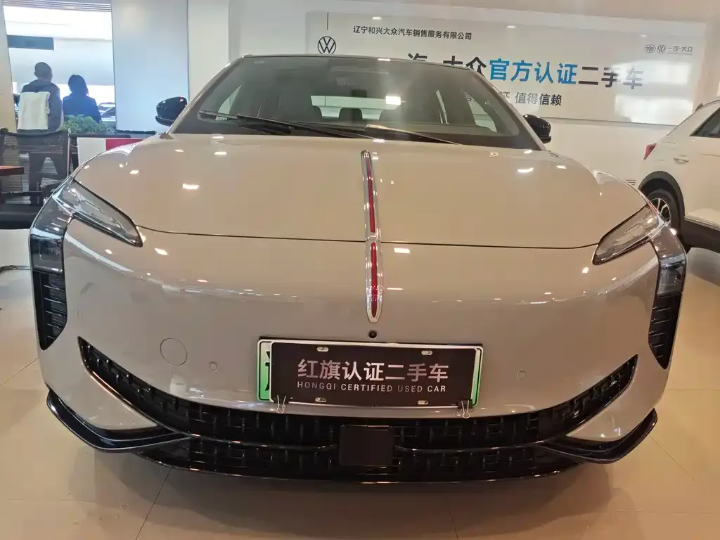 Hongqi EH7 — фото 10