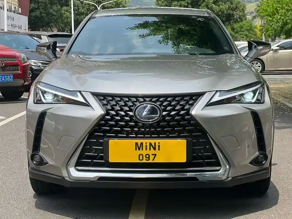 Lexus UX New Energy — фото 4