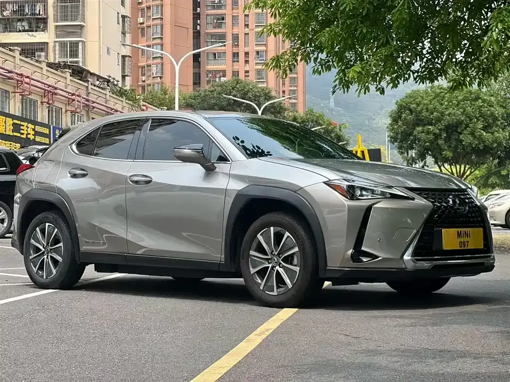 Lexus UX New Energy — фото 6