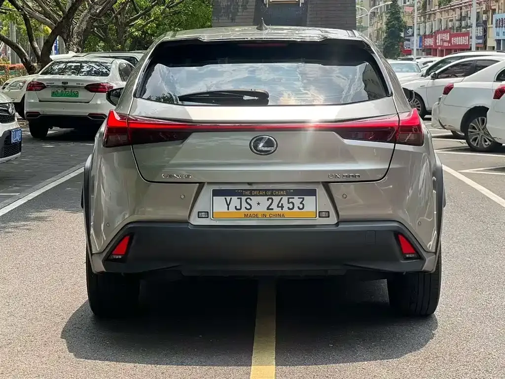Lexus UX New Energy — фото 5