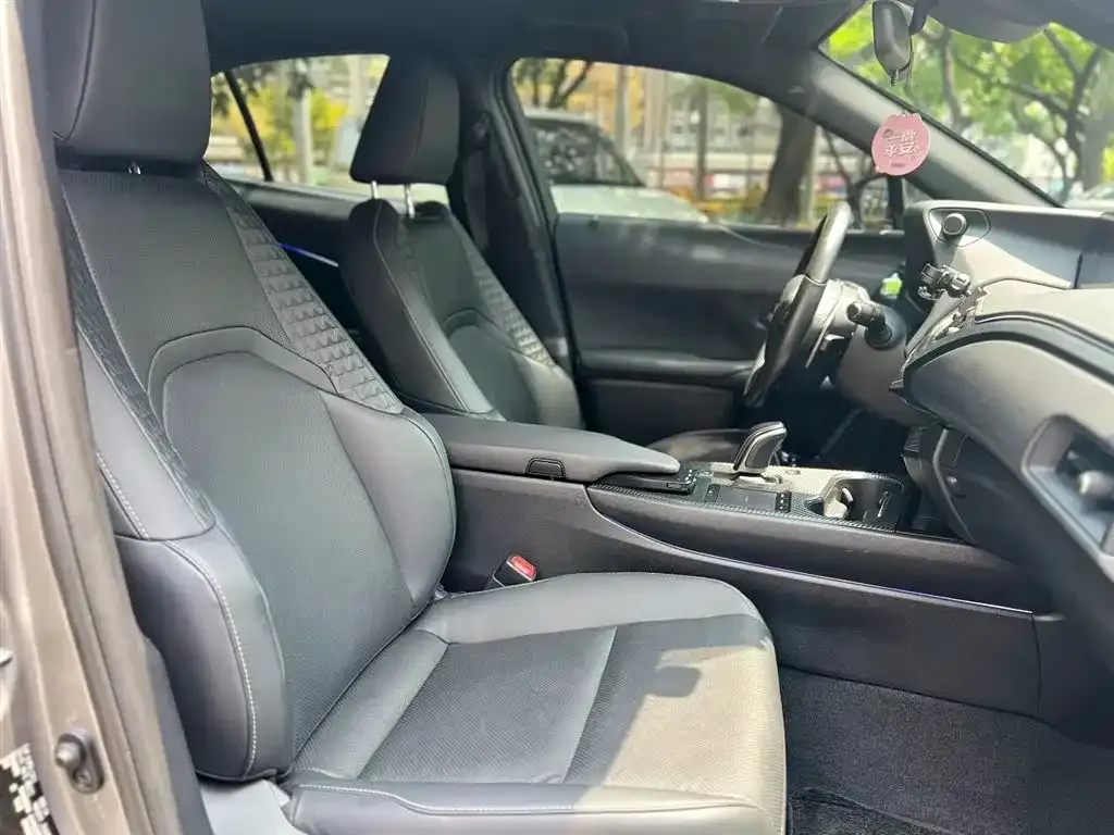 Lexus UX New Energy — фото 8