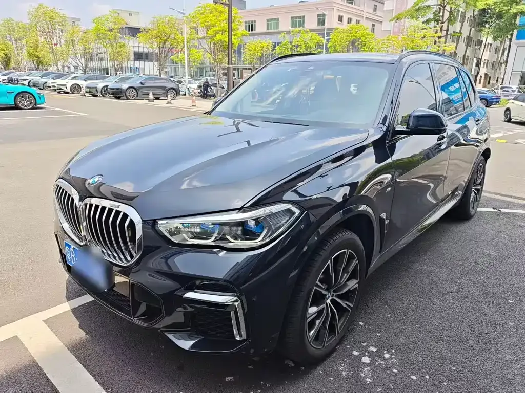 BMW X5 — фото 1