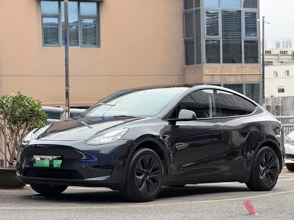 Tesla Model Y — фото 1