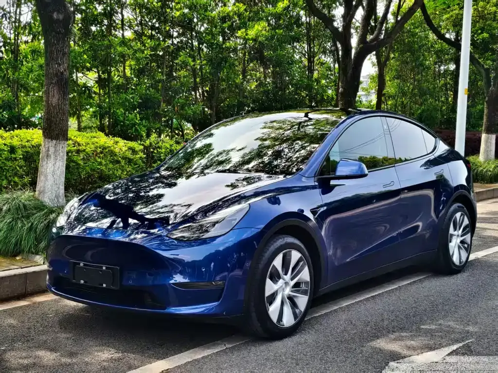 Tesla Model Y — фото 1