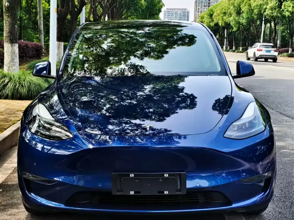 Tesla Model Y — фото 5