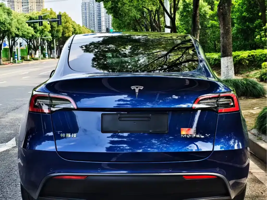 Tesla Model Y — фото 4
