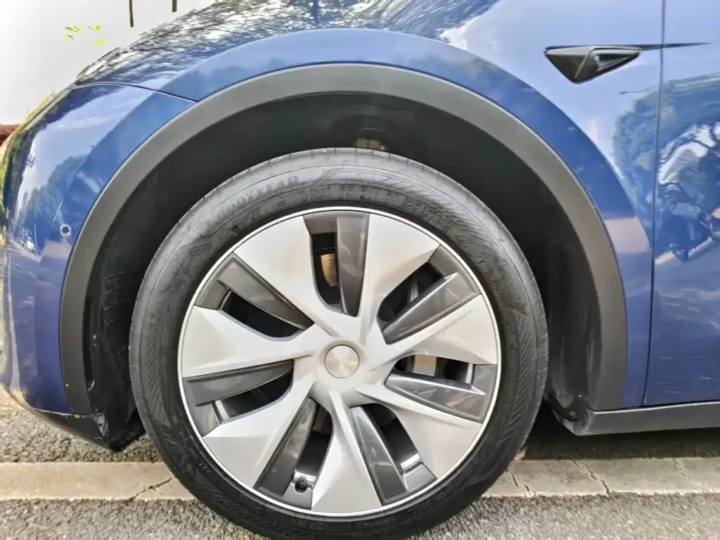 Tesla Model Y — фото 2