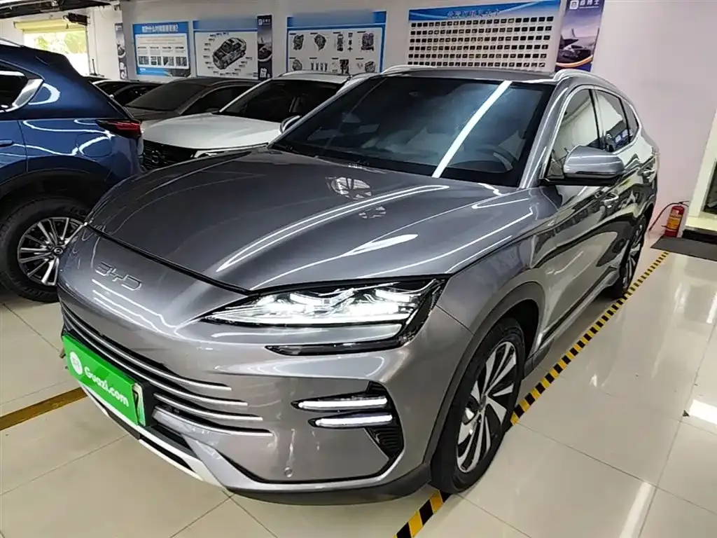 BYD PLUS New Energy — фото 1
