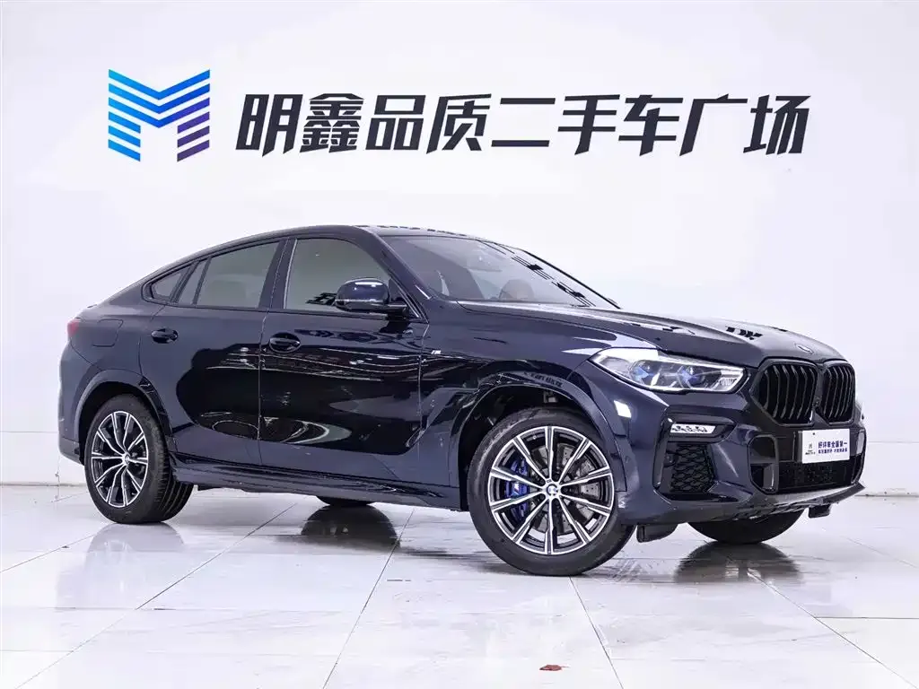 BMW X6 — фото 9
