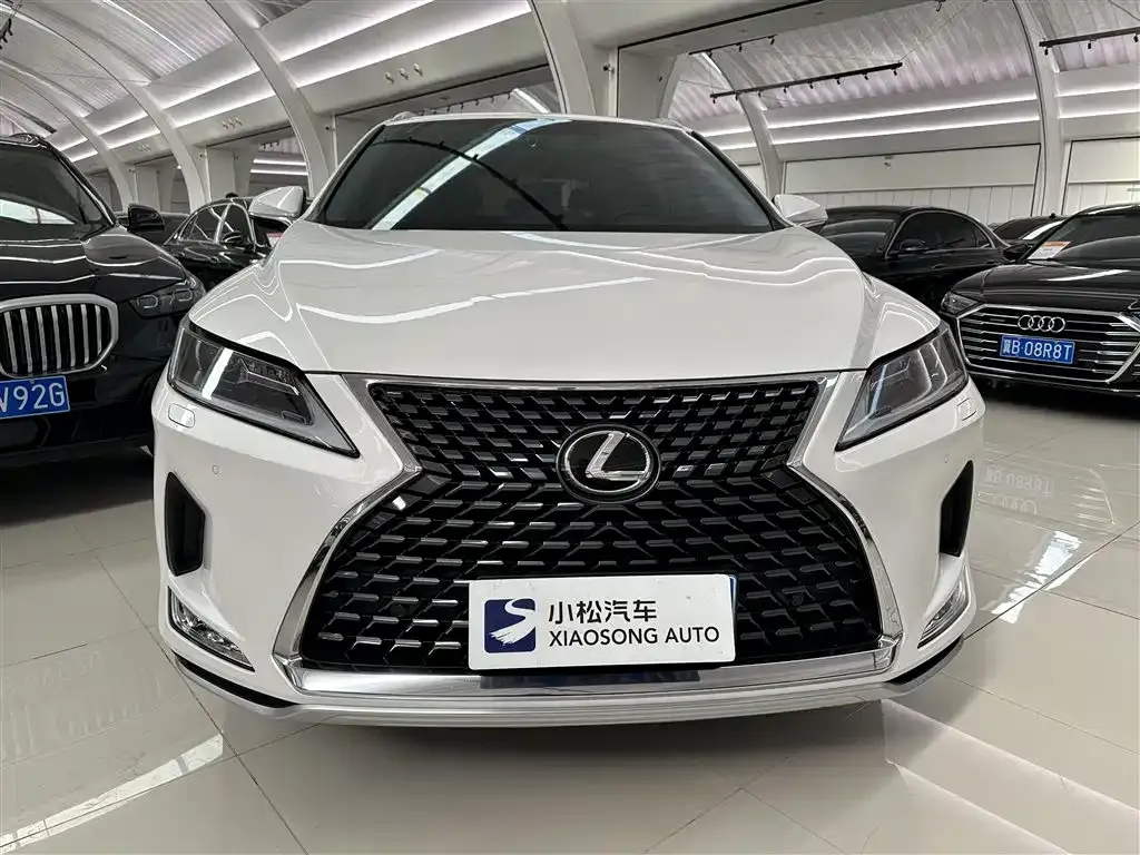 Lexus RX — фото 10
