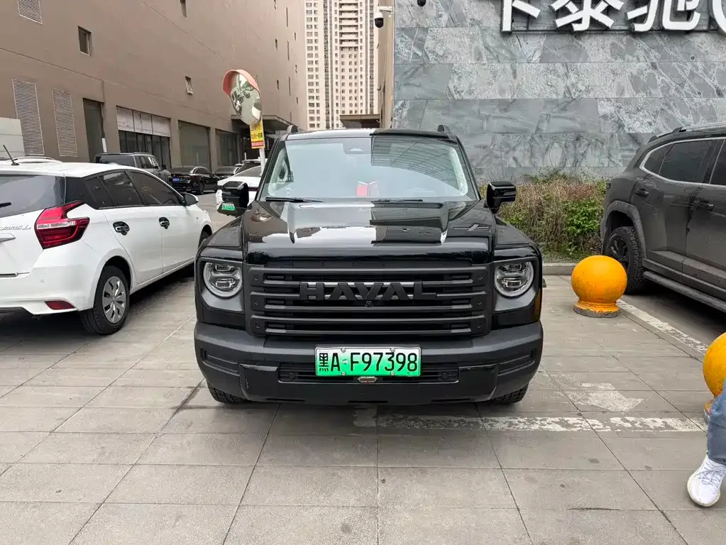 Haval Menglong New Energy — фото 1