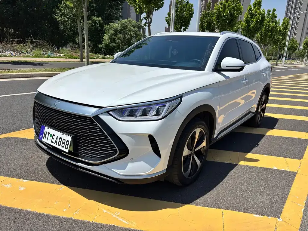 BYD PLUS New Energy — фото 1
