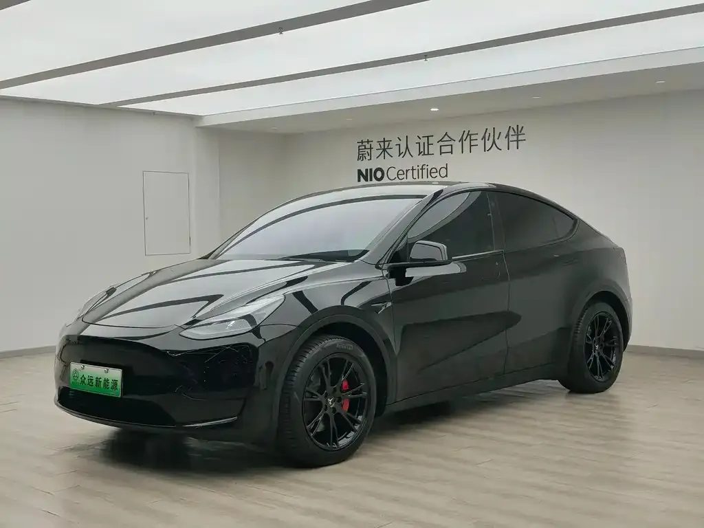 Tesla Model Y — фото 1