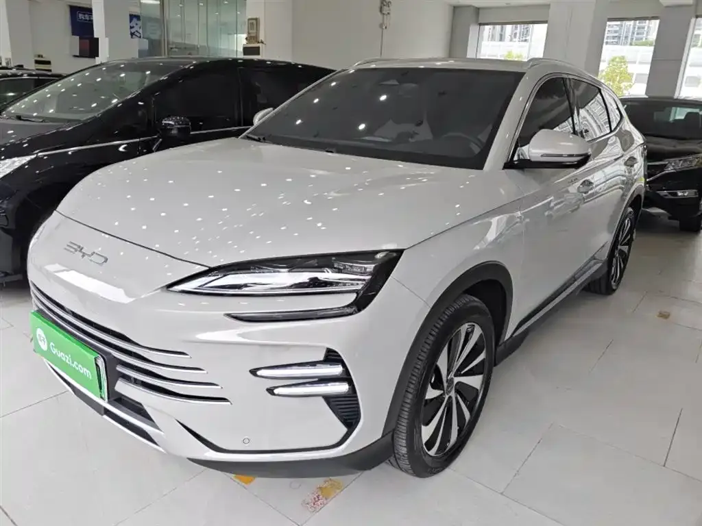 BYD PLUS New Energy — фото 1