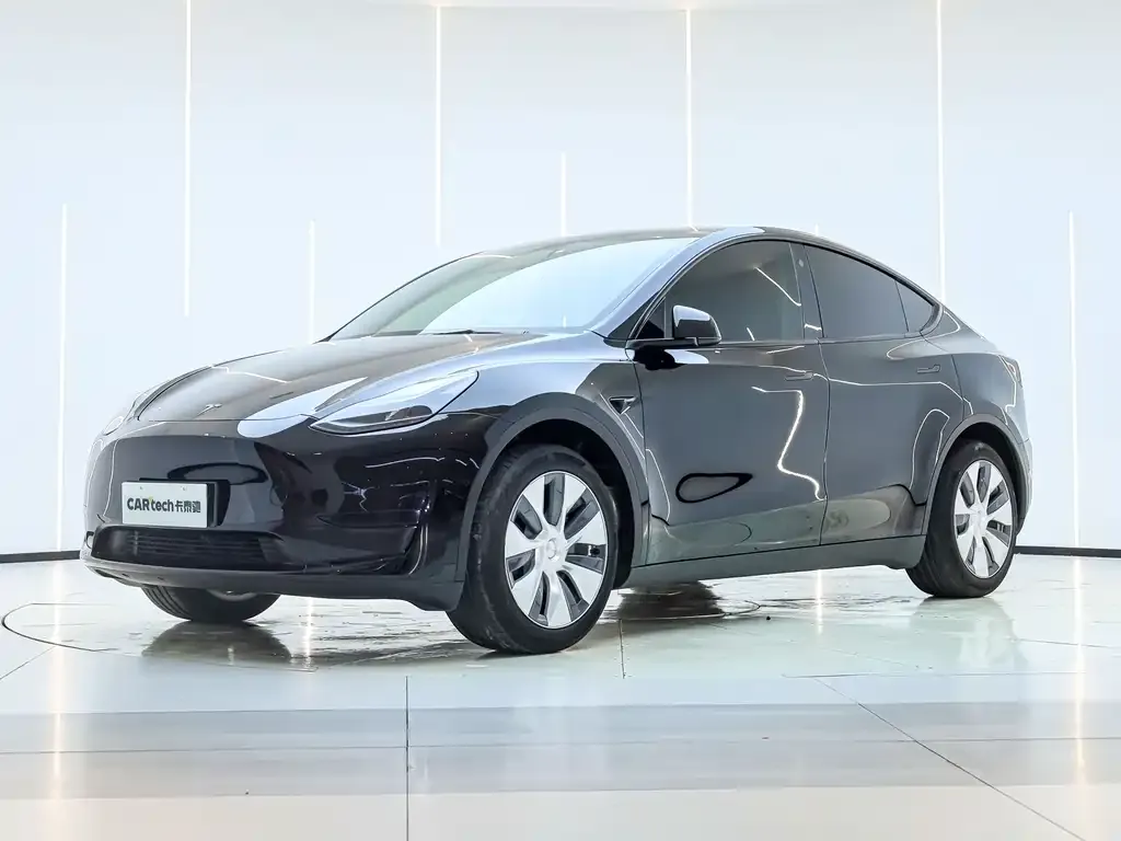 Tesla Model Y — фото 10