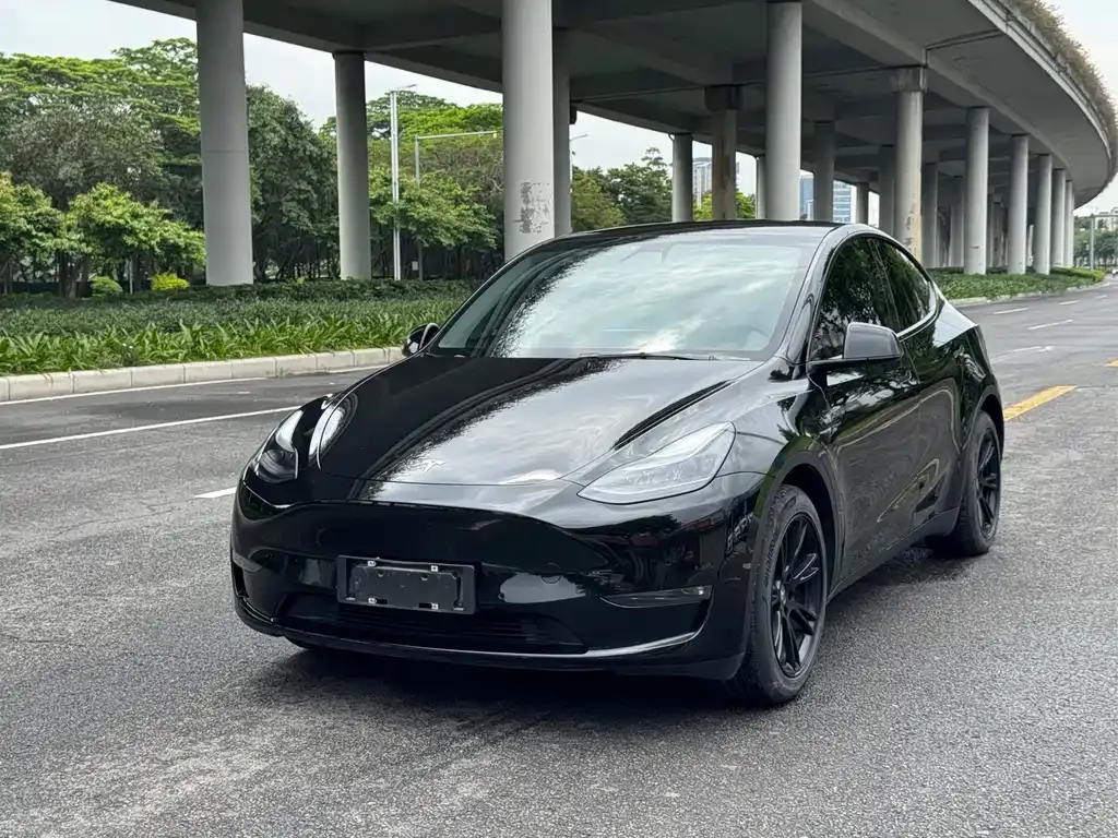 Tesla Model Y — фото 1