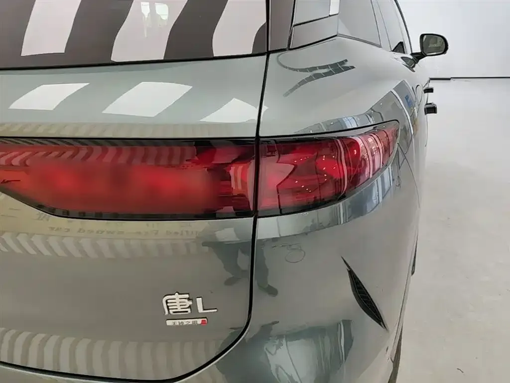 BYD Tang L — фото 2