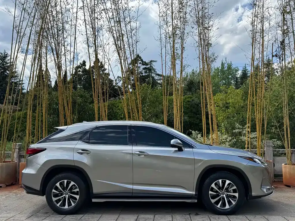Lexus RX — фото 6