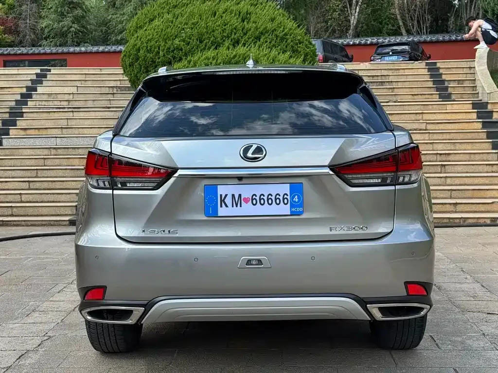 Lexus RX — фото 10