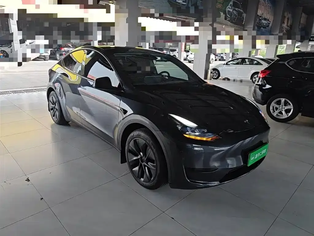 Tesla Model Y — фото 9