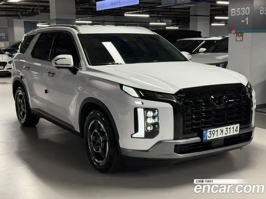Hyundai Palisade — фото 4