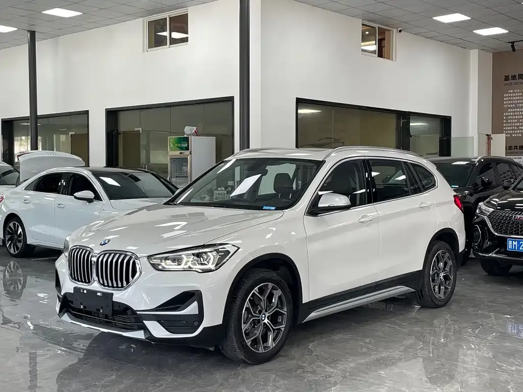BMW X1 — фото 1