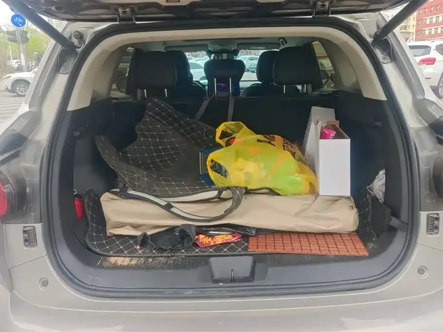 Haval H7 (Big Dog Plus) New Energy — фото 2