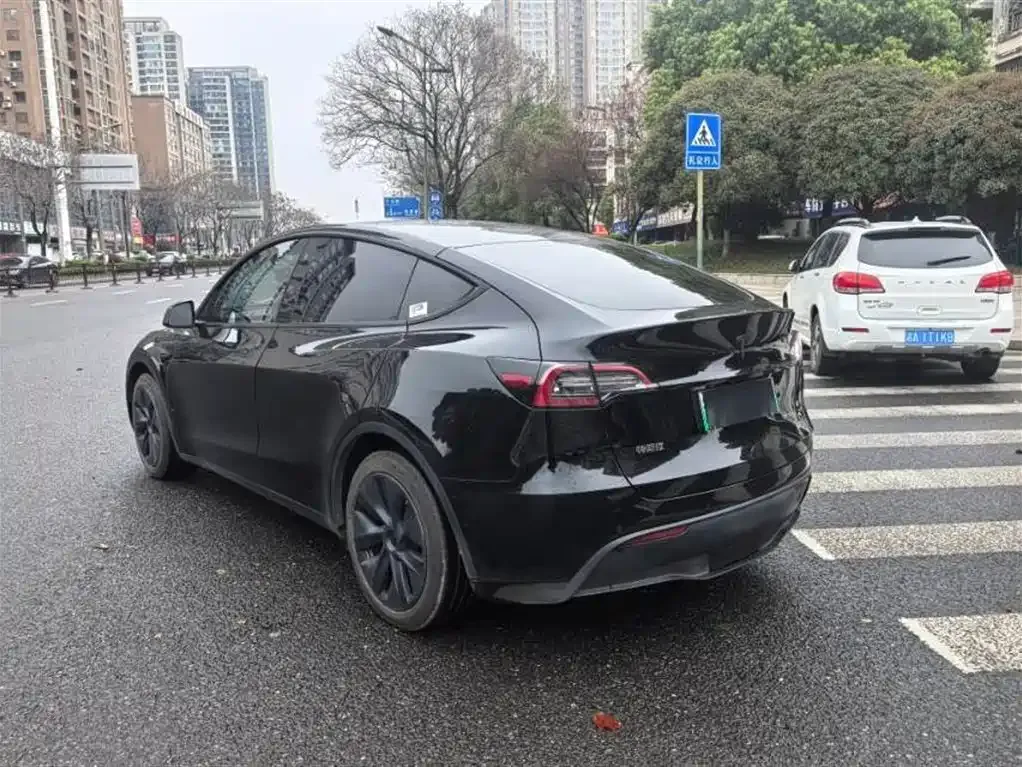 Tesla Model Y — фото 9