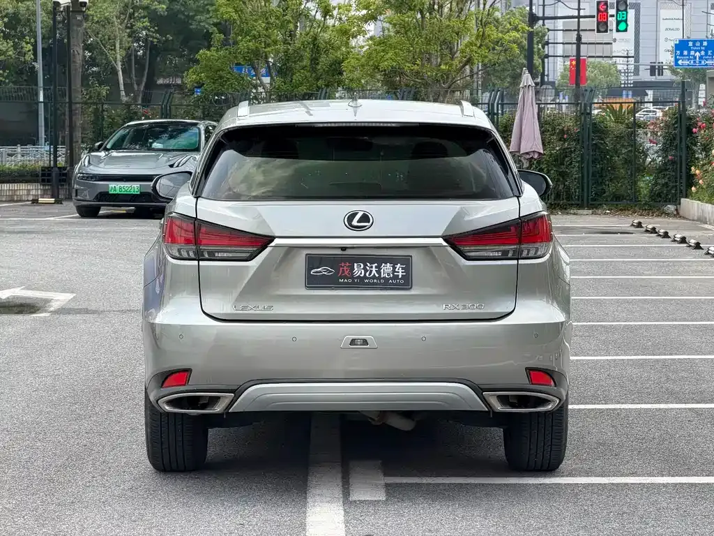 Lexus RX — фото 6
