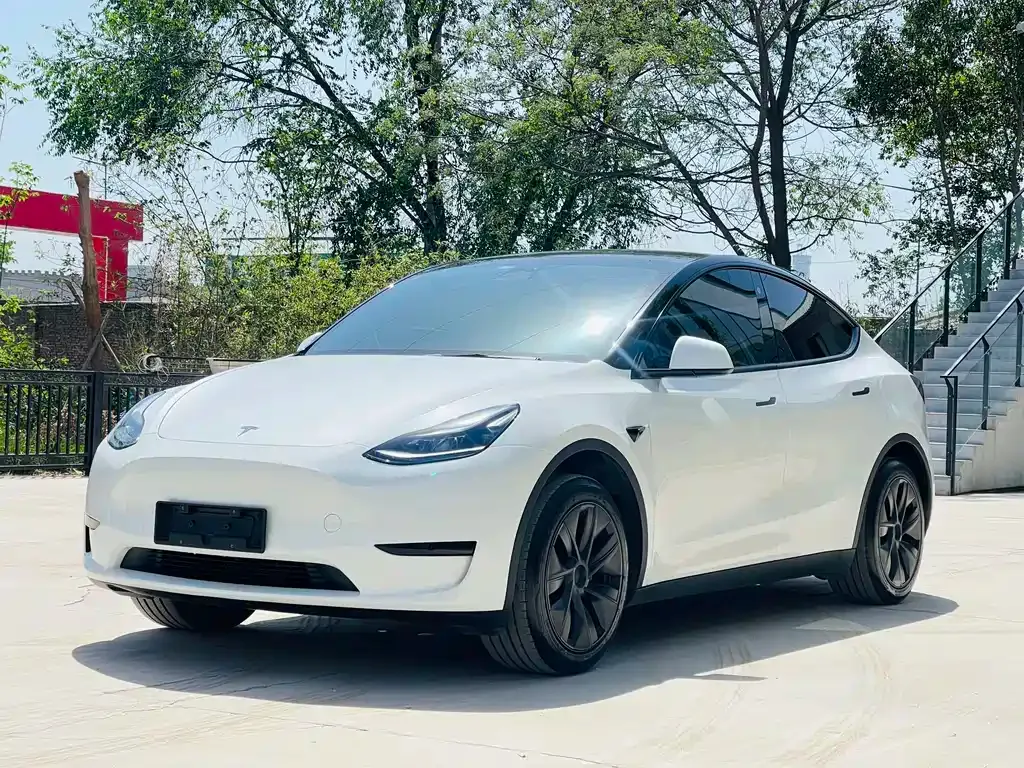 Tesla Model Y — фото 1