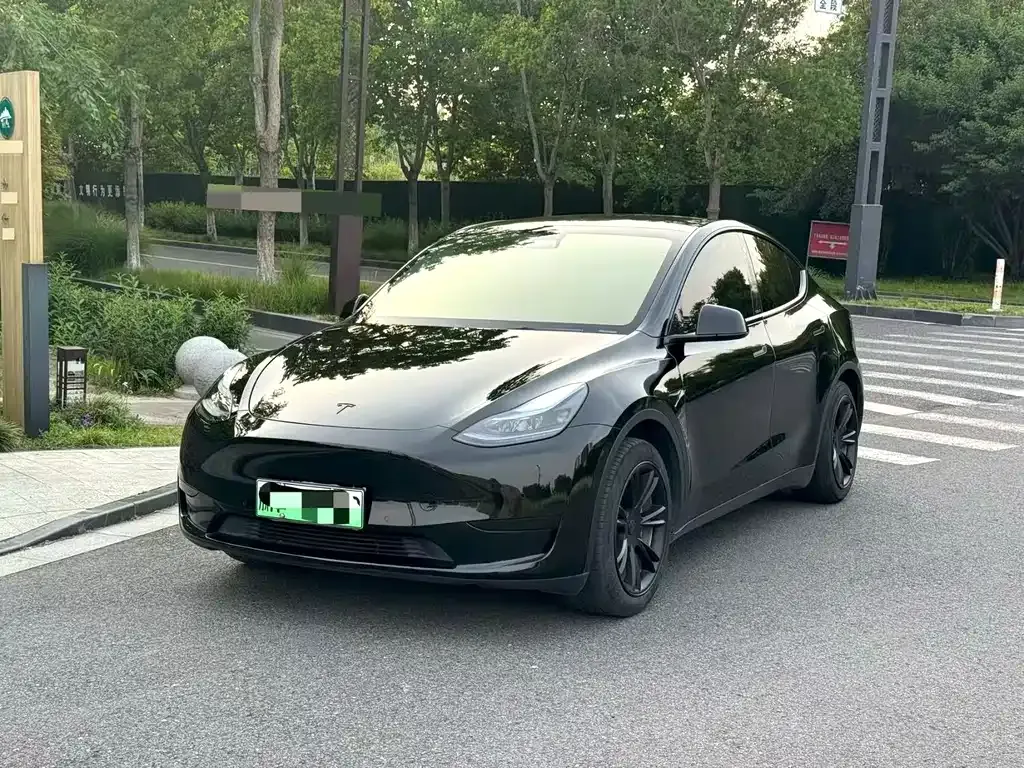 Tesla Model Y — фото 1