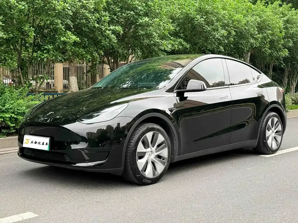 Tesla Model Y — фото 1