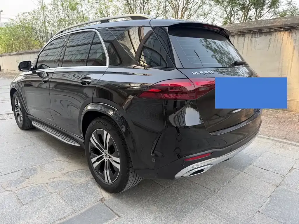Mercedes-Benz 奔驰GLE(进口) — фото 9