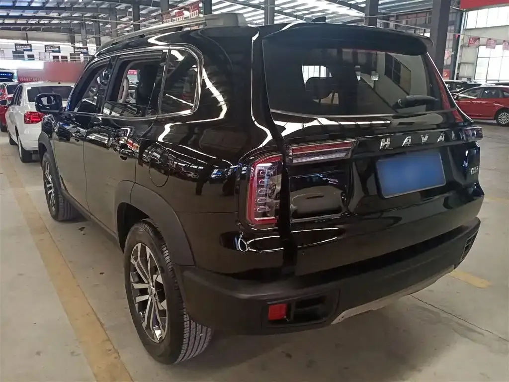 Haval Big Dog — фото 10