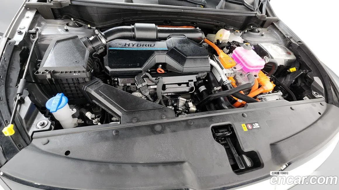 Kia Sportage — фото 9