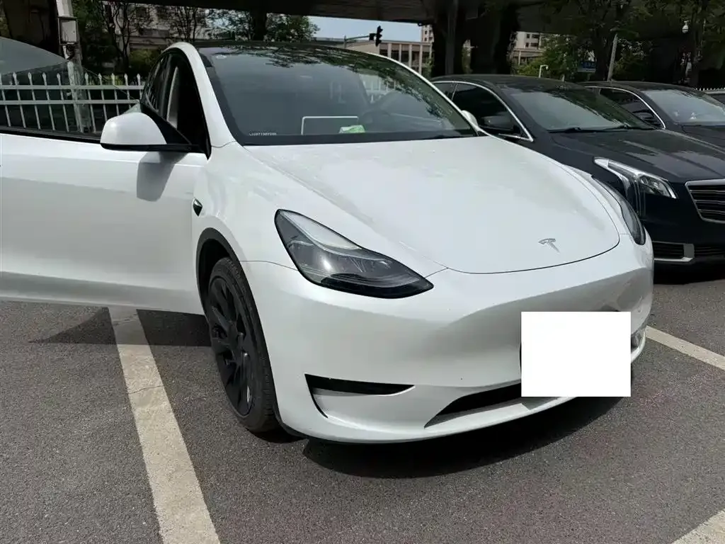 Tesla Model Y — фото 1