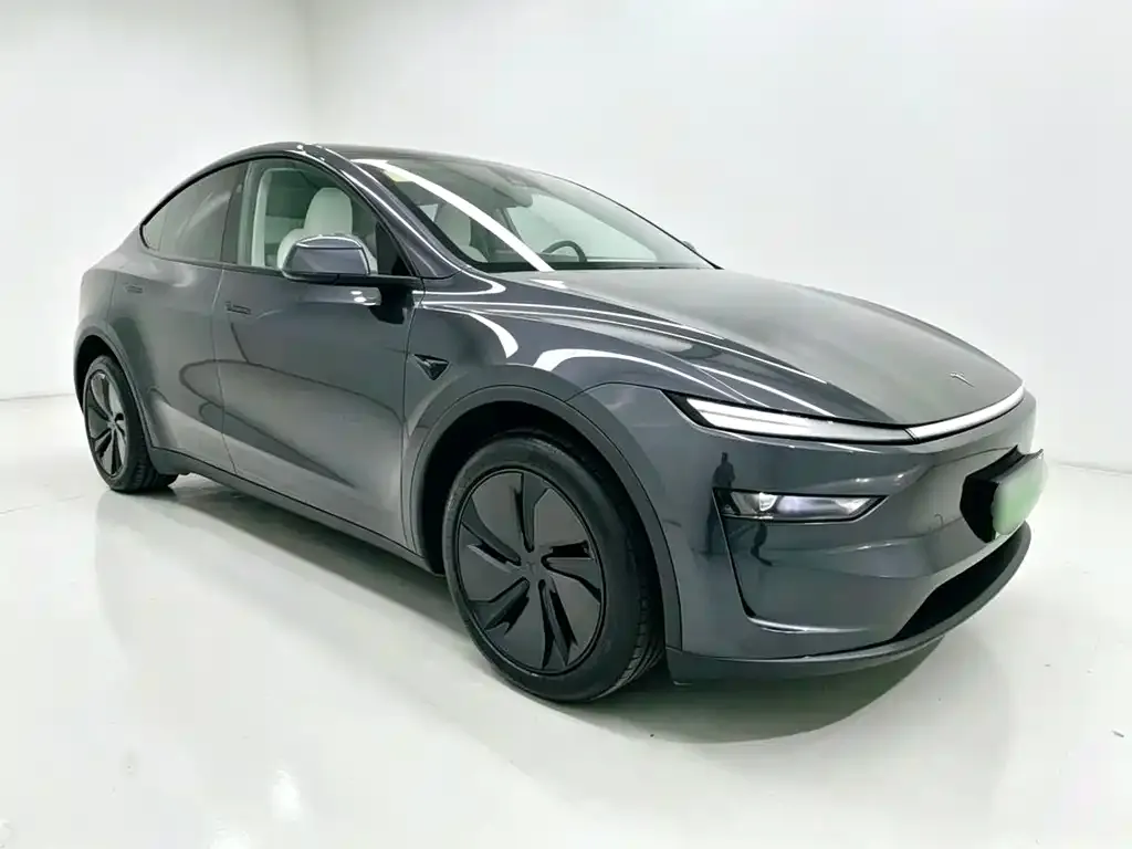 Tesla Model Y — фото 2