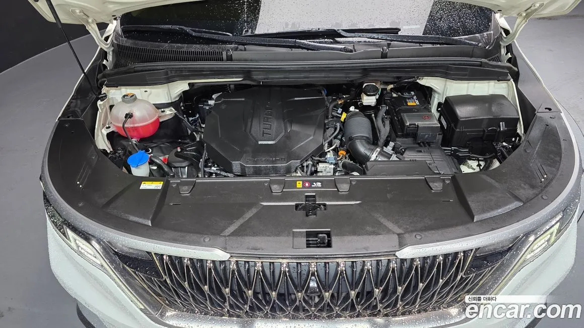 Kia Carnival — фото 10