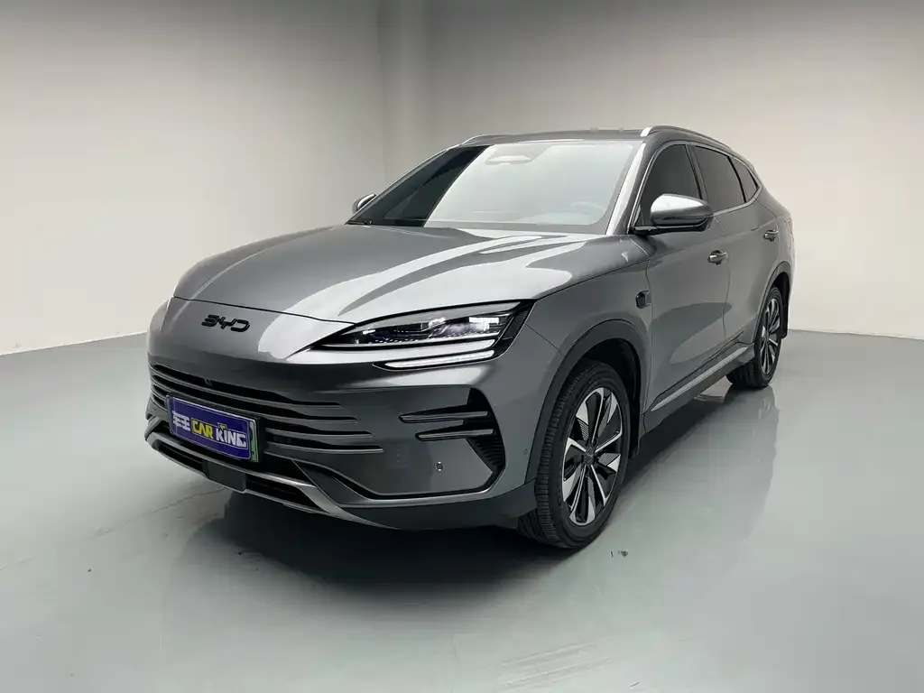 BYD PLUS New Energy — фото 1