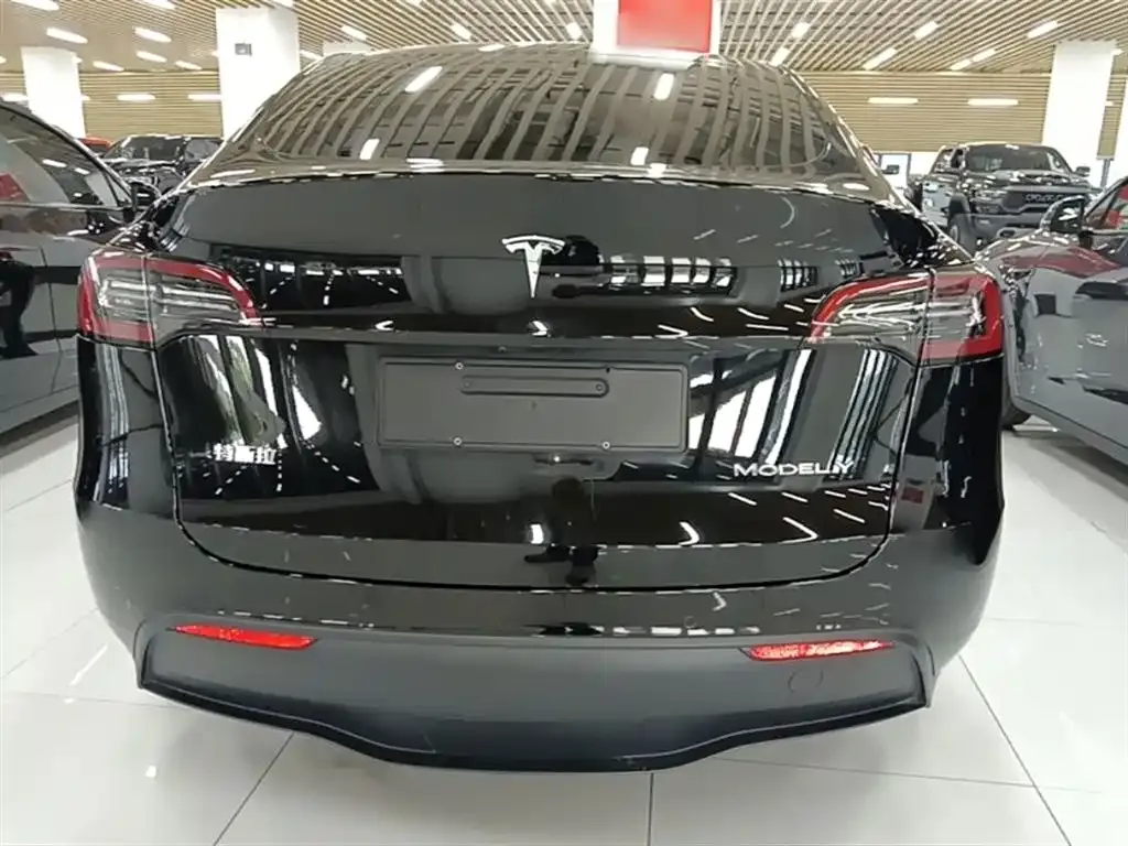 Tesla Model Y — фото 4