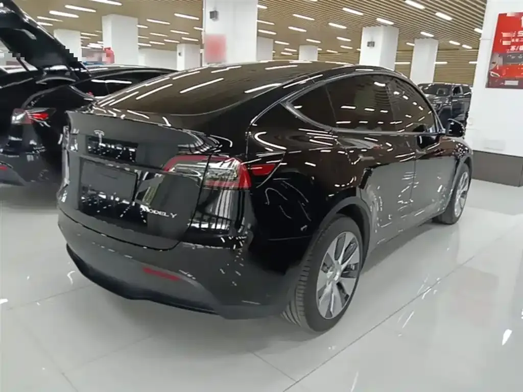 Tesla Model Y — фото 2