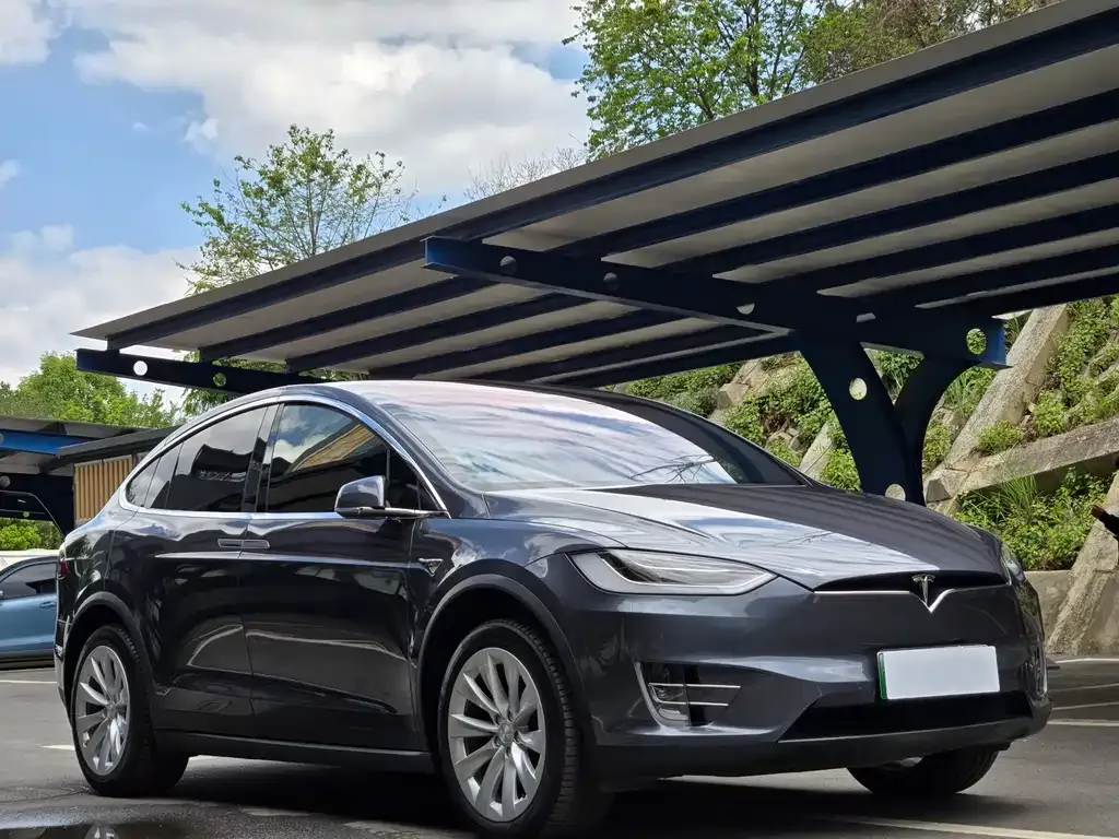 Tesla Model X — фото 10