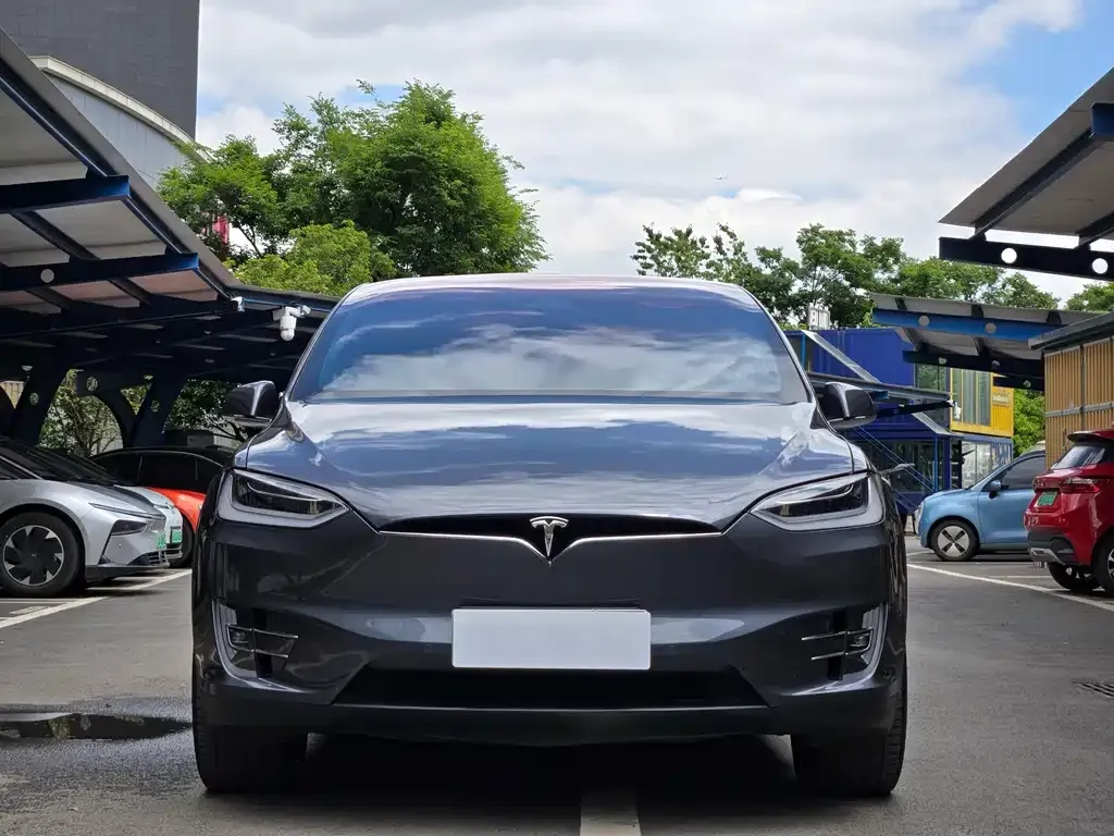 Tesla Model X — фото 6
